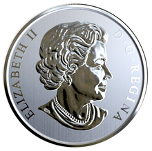 2019 Canada Nickel  Specimen  25 Cents-100th Anniversary of CN