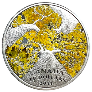 2014 20 Dollars Fine Silver Coin-Canadian Maple Leaf Canopy-Autumn