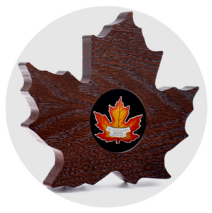 2016 Canada 20$ Fine Silver Coin-Canada Colourful Maple Leaf