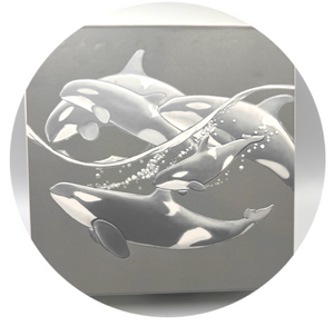 2016 Canada 20$ Fine Silver Coin-Master of the Sea-The Orca