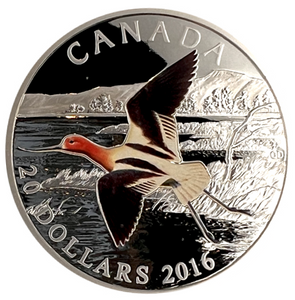 2016 Canada 20 Dollars Fine Silver Coin-The Migratory Birds Convention, 100 years of Protection-The American Avocet