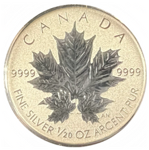 2013 Silver Maple leaf Fractional Set-25th Anniversary