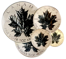 2013 Silver Maple leaf Fractional Set-25th Anniversary