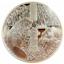 2013 $50 Fifty Dollars, Fine Silver Coin-Beaver