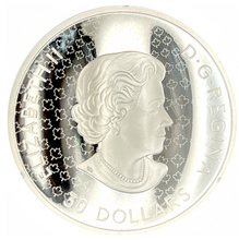 2019 Thirty Dollars $30 Fine Silver Coin-The fabric of Canada