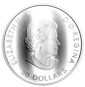 2019 Thirty Dollars $30 Fine Silver Coin-The fabric of Canada