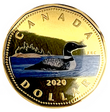 2020 Canada Fine Silver Colourised  Proof Loonie Common Loon-Dollar