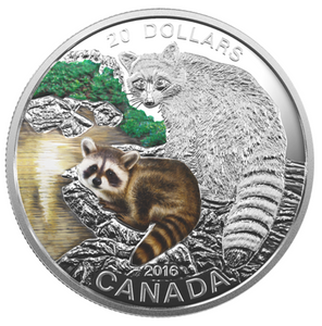 2016 Canada 20 Dollars Fine Silver Coin, Baby Animals-Raccoon