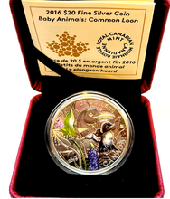 2016 Canada 20 Dollars Fine Silver Coin, Baby Animals-Common Loon