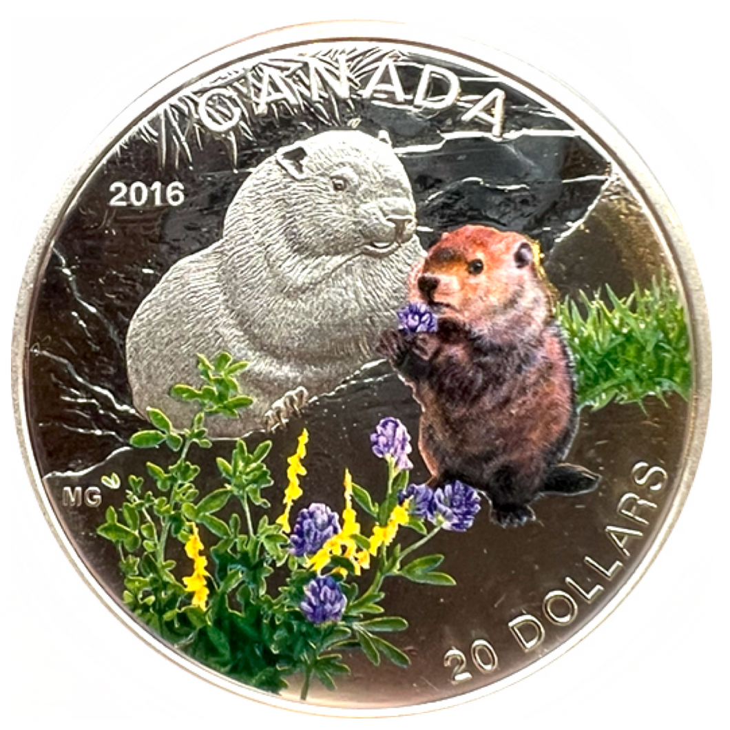 2016 Canada 20 Dollars Fine Silver Coin, Baby Animals-Woodchuck