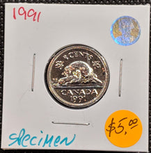 1991 Canada Five Cents Specimen Nickel Beaver