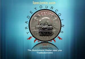 1979 Canada Five Cents Specimen Nickel Beaver