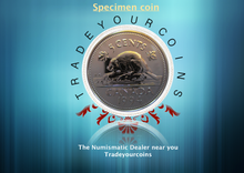 1994 Canada Five Cents Specimen Nickel Beaver