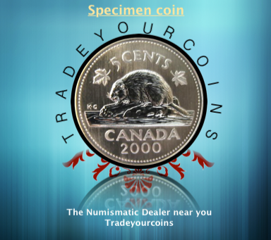 2000 Canada Five Cents Specimen Nickel Beaver