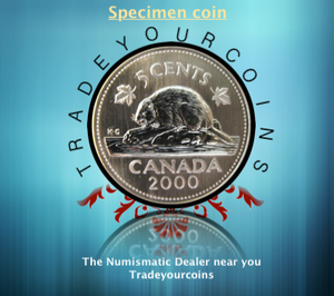 2000 Canada Five Cents Specimen Nickel Beaver