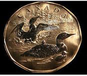 2002 Canada Specimen  Loonie Dollar- Family of Loons