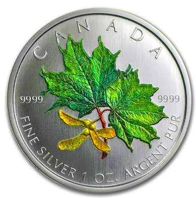 2002 Silver maple Leaf with Color-Spring