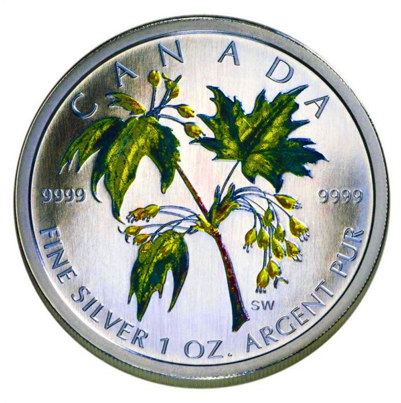 2003 Silver maple Leaf with Color-Summer