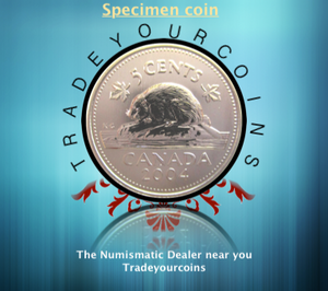 2004 Canada Five Cents Specimen Nickel Beaver