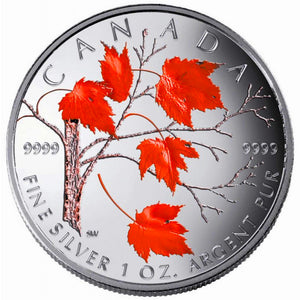 2004 Silver maple Leaf with Color-Winter