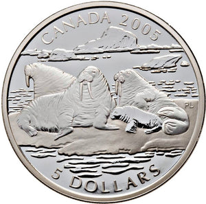 2005 Canada Fine Silver Five Dollars Coin-Canadian Wildlife Series-White-The Atlantic Walrus and Calf