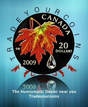 2009 Canada 20 Dollars Fine Silver Coin, Swarovski Crystal - Autumn Raindrop