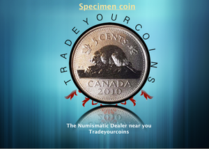 2010 Canada Five Cents Specimen Nickel Beaver