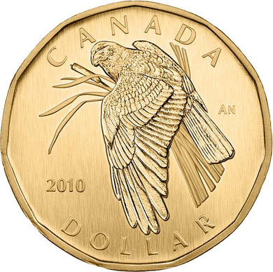 2010 Canada Specimen  Loonie Dollar- Northern Harrier
