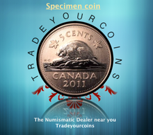 2011 Canada Five Cents Specimen Nickel Beaver