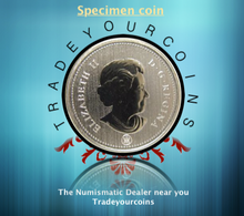 2012 Canada Five Cents Specimen Nickel Beaver