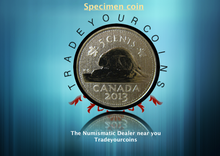 2013 Canada Five Cents Specimen Nickel Beaver