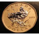 2013 Canada Specimen  Loonie Blue-Winged Teal
