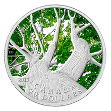2013 20 Dollars Fine Silver Coin-Canadian Maple Leaf Canopy-Spring