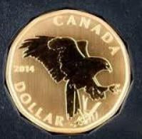 2014 Canada Specimen  Loonie Ferruginous Hawk
