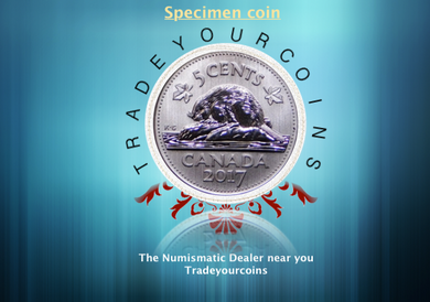 2017 Canada Five Cents Specimen Nickel Beaver