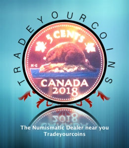 2018 Canada Fine Silver Colourised  Proof Beaver - 5 Cents