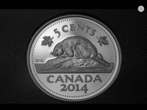 2014 Canada Five Cents Fine Silver proof Heavy cameo