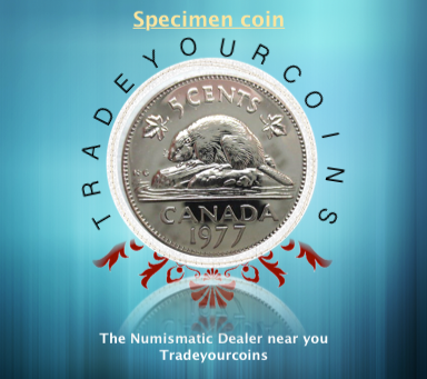 1977 Canada Five Cents Specimen Nickel Beaver