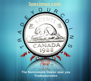 1988 Canada Five Cents Specimen Nickel Beaver