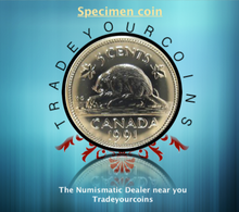 1991 Canada Five Cents Specimen Nickel Beaver