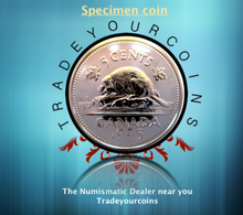 1995 Canada Five Cents Specimen Nickel Beaver