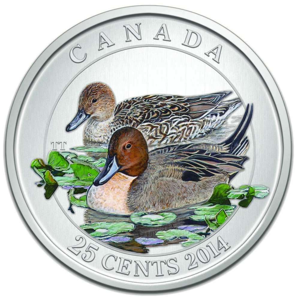 2014 Canada Cupronickel Quarter - 25 Cents Ducks of Canada-The Pintail