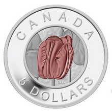 2014 Canada Fine Silver and Niobium Five Dollars Coin -Tulip