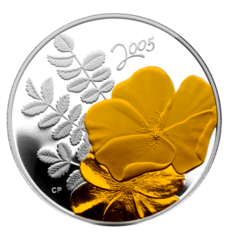 2005 Fifty Cents- Golden Rose