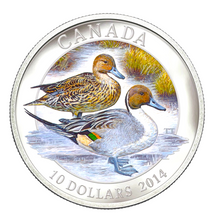 2014 Canada Fine Silver $10 Ten Dollars-Ducks of Canada-Northern Pintail