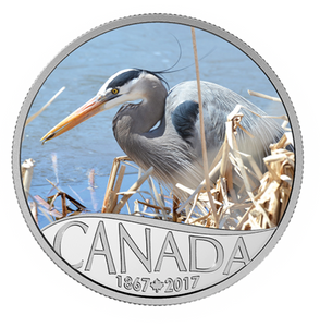 2017 $10 Celebrating Canada's 150th Coin Series: Great Blue Heron