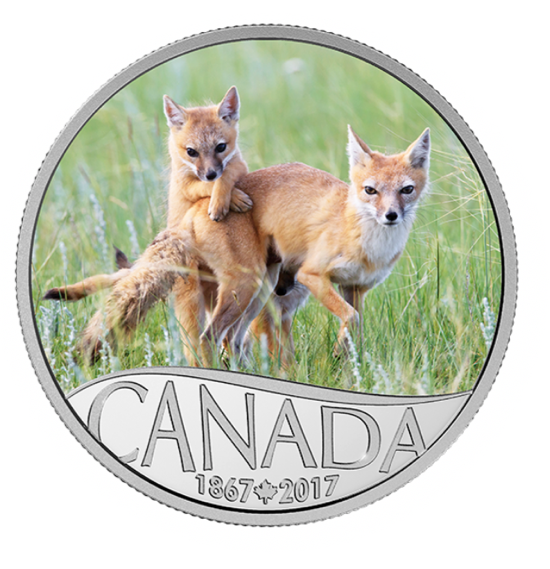 2017 $10 Celebrating Canada's 150th Coin Series - Wild Swift Fox and Pups