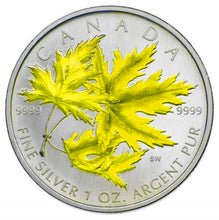 2006 Silver maple Leaf with Color-Silver Maple