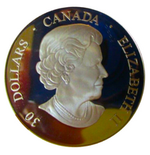2006 Thirty Dollars, 50th Anniversary of Canadarm
