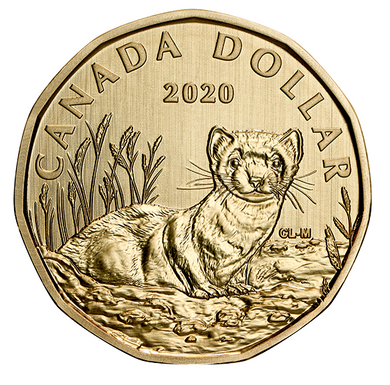 2020 Canada Specimen Loonie Black-Footed Ferret